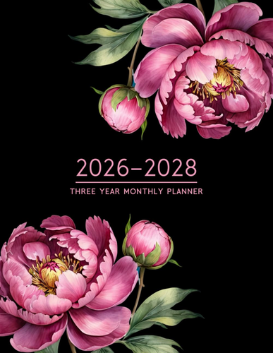 2026-2028 Dreijahres Monatsplaner: Großer 3-Jahres-Organizer (2026-2027-2028) fr - Bild 2 von 12