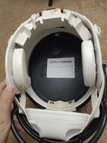 Schutt Full Size NCAA Gamecocks Football Dan Reeves SIGNIERTER Helm *RAR* 🏈 - Bild 5 von 9