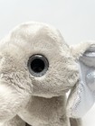 Bild 8 von 12