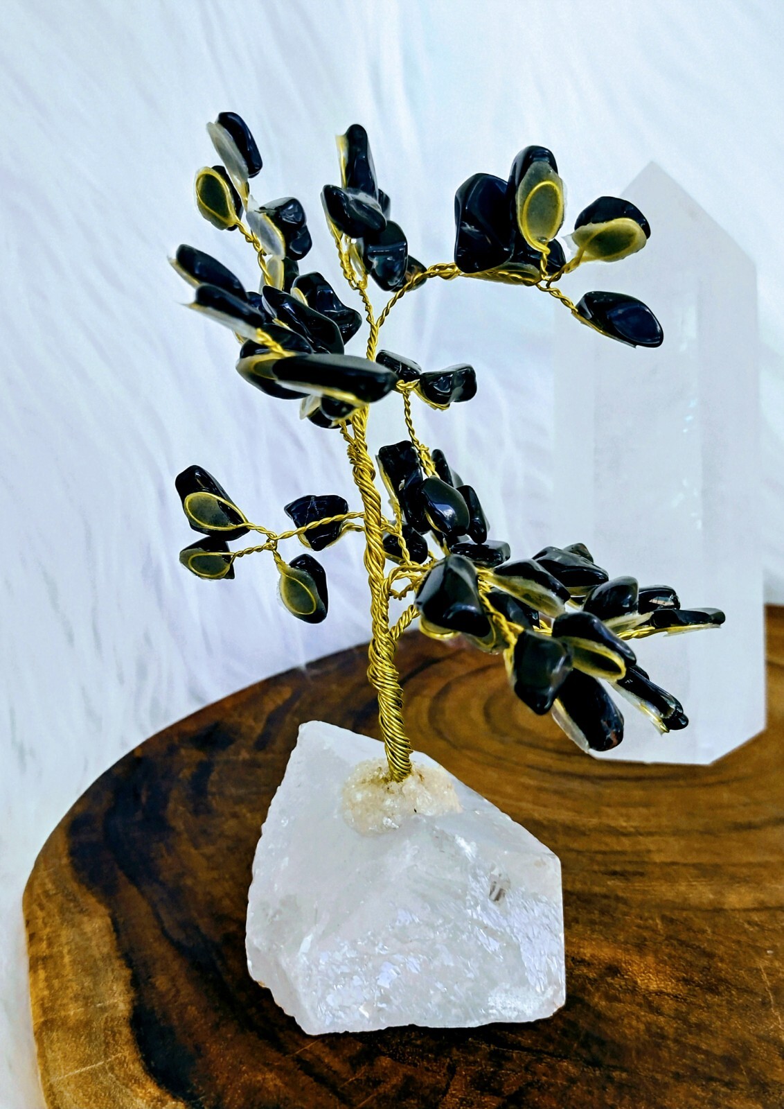 Picture 15 of 23