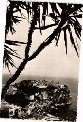CPA Le Rocher de Monaco avec n premier plan le Palais Princier (233993)