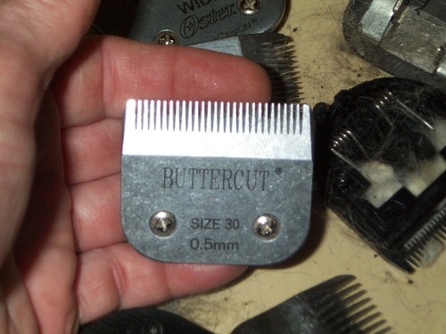 68 PET Dog Cat GROOMING Steel Blade Comb Lot Clipper Buttercut Barber Hair Cut - Picture 18 of 24