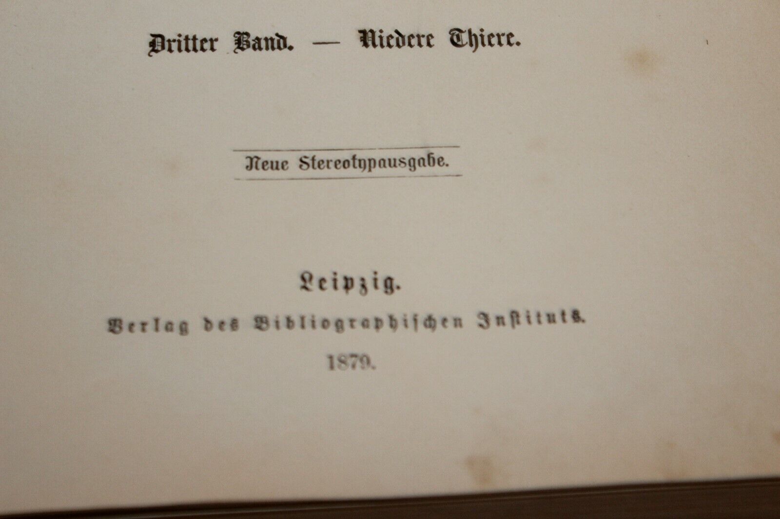 Bild 3 von 4