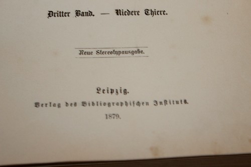 BREHM´S ILLUSTRIERTES THIERLEBEN-DRITTER BAND-NIEDERE THIERE-1879 - Bild 3 von 4