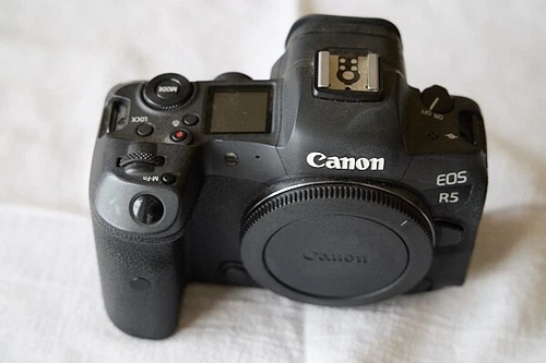 Canon EOS R5 45.0MP Mirrorless Camera - Black (Body Only)