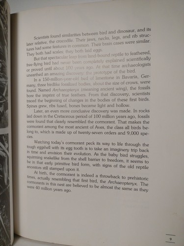 The Submarine Bird By Jack Denton Scott -1979 -HCwDJ -Ex Library - Picture 8 of 14