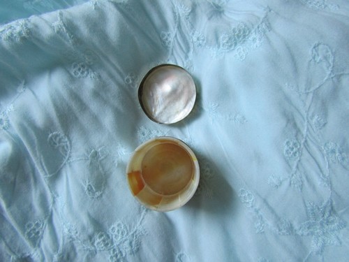 Vintage Mother Of Pearl (Nacre) Pill Box or Ring Box - Picture 15 of 16