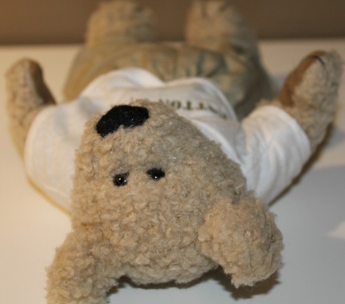 9" Cotton Corps Plush Teddy Bear Doll with Articulated Joints Khaki Pants - Picture 9 of 9