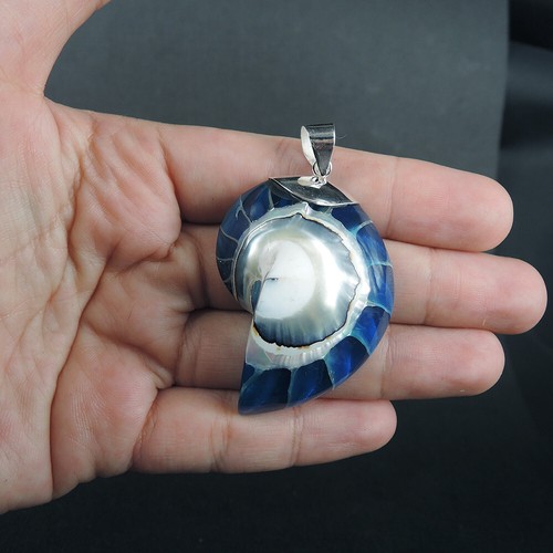 Joyería colgante de plata de ley 925 mediana grande azul concha de Nautilus, NSP-496 - Imagen 5 de 6