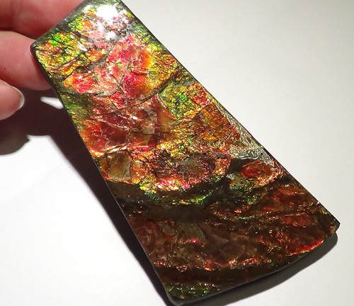 600 Carat.!! I Sammler Ammolite /Drachenschuppe Grün-Golden-Orange   + VIDEO - Bild 3 von 7