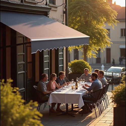 3m x 2,5m AluminiumTerrasse Sonnenschutz Markisen Gelenkarmmarkise Sichtschutz - Bild 10 von 13