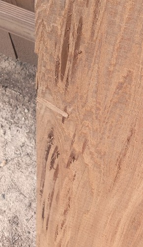 Made in America! 1" Thick 80" Long 40 Rings/Inch Pecky Sinker Cypress Slab Wood - Picture 8 of 14