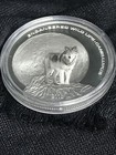 Foto 3 di 8