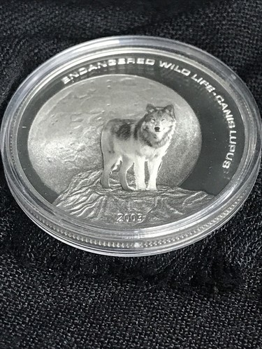 Moneta 25 grammi lupo grigio 2003 MONGOLIA 500 Tigrik argento 925 proof - Foto 3 di 8