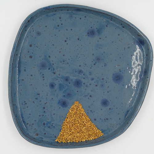 Bienenpollen Granulat 400 g – roh & naturbelassen – Ernte 2025 - Bild 5 von 7