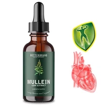 Betterbrand Mullein Drops for Lungs–Mullein Leaf Extract with Chlorophyll Liquid
