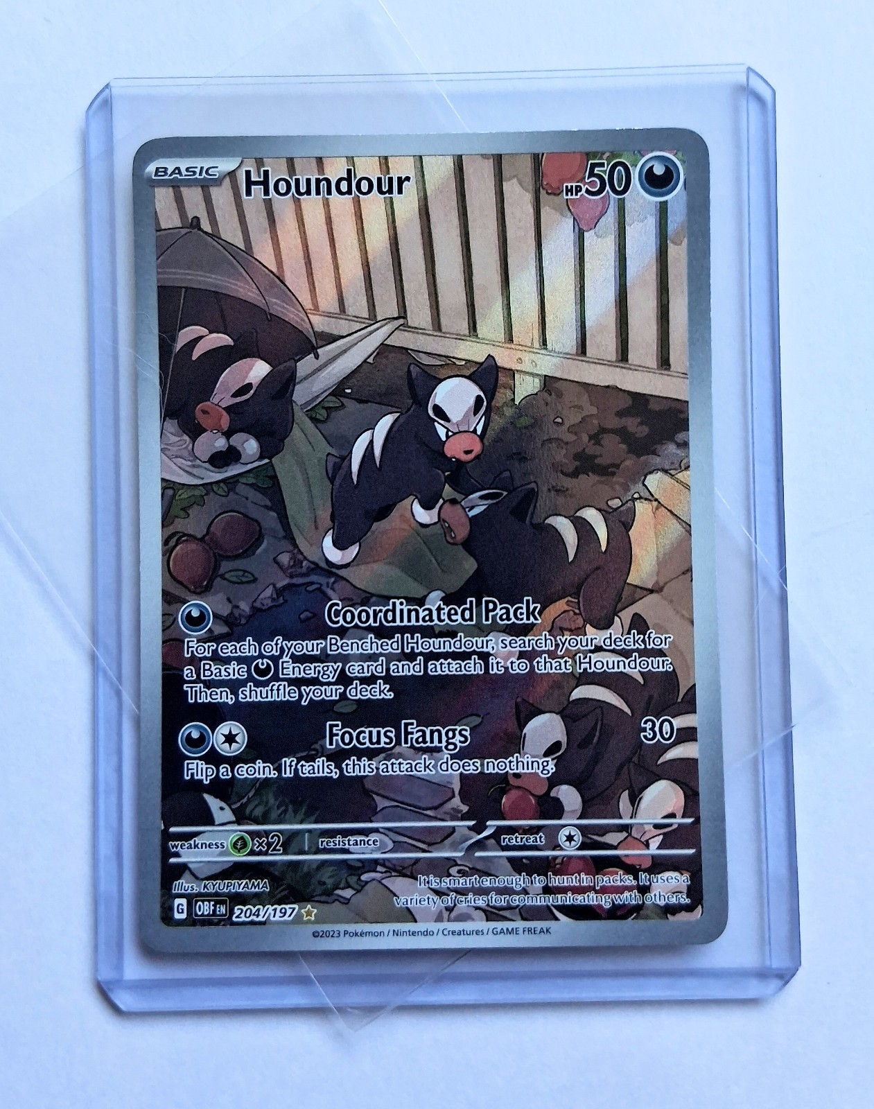 Houndour - 204/197 - SV03: Obsidian Flames Near Mint Holofoil