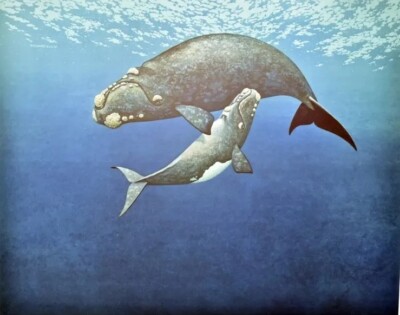 Richard Ellis Pencil Signed And Numbered ''Right Whale'' Lithograph Print 1980