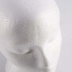 Foto 9 di 12