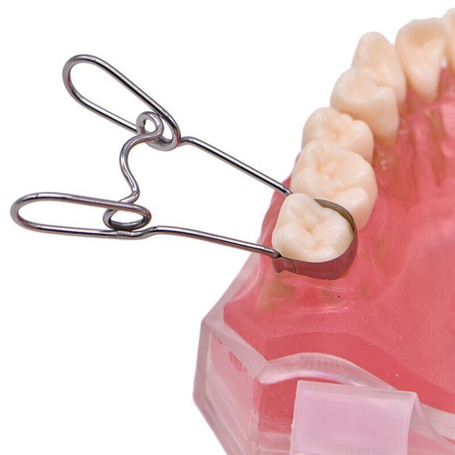 Dental Sectional Contoured Matrices Matrix Ring Clamp Wedges springclip TOR VM - Picture 8 of 22