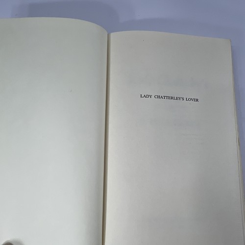 D.H. Lawrence 2 Book Set Lady Chatterley's Lover And Sons and Lover HC Good - Picture 16 of 21