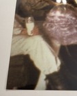 Picture 4 of 7