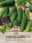 Sperli 80736 Gurke Excelsior F1-Hybride (Gurkensamen)