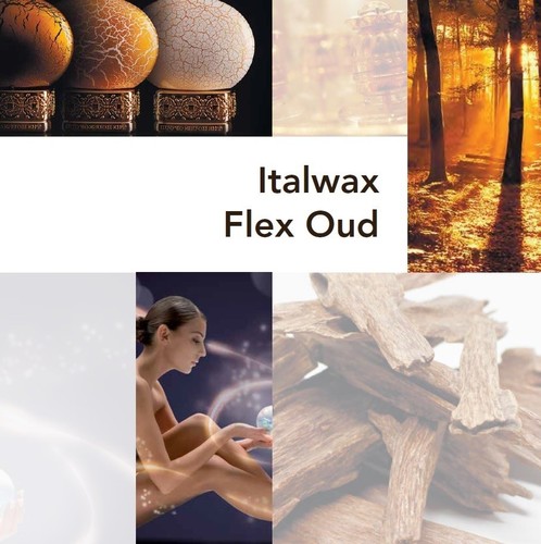 ITALWAX Flex Line fettlösliches Wachs - OUD 800 ml - Bild 2 von 4