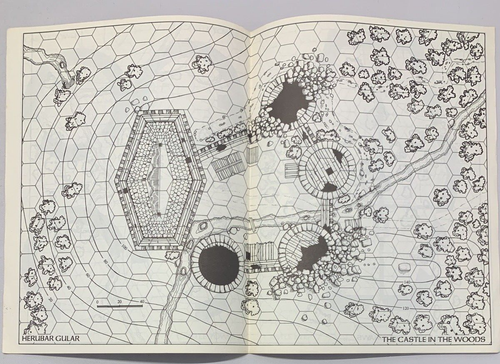 MERP Display Guidelines Only - War In Middle Earth - Role Playing - Picture 4 of 7