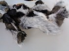 Bild 7 von 10