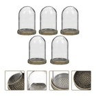  5 Sets Miniature Cloche Decorative Jars with Lids Small Glass Terrarium