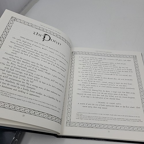 The Celtic Book Lot of 2 Book of the Dead: A Guide for Your Voyage + Oracles - Bild 10 von 13