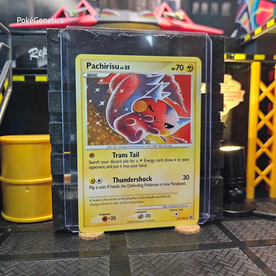 Pachirisu Majestic Dawn Pokémon TCG 43/100 Diamond & Pearl Uncommon - Image 3 of 4