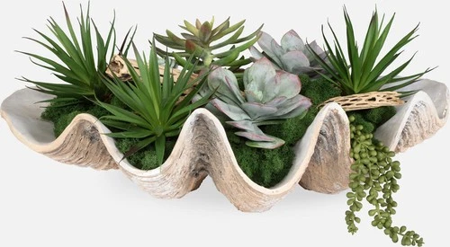 Uttermost 60233 Seaside Breeze 10" Tall Resin and Wood Faux Flora - Clam Shell - Picture 5 of 5