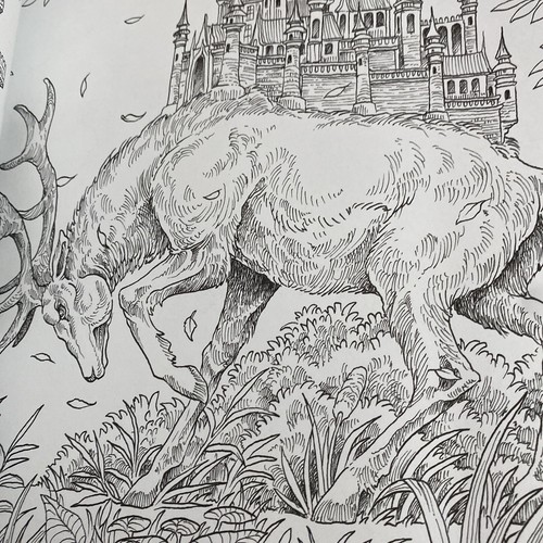 Wondrous Animals: Color a Kingdom of Creatures Kerby Rosanes Paperback Book - Imagen 8 de 14