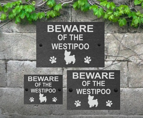 Beware of the Dog Slate Door Gate House Sign 3 Sizes All Breeds available M - Y - Picture 26 of 29