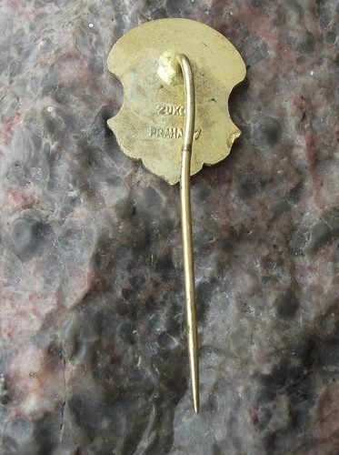 Vintage Zlutice Czechoslovakia Coat of Arms Heraldic Crest Pin Badge - Foto 4 di 4
