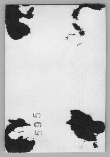 Cárdigan suéter retrato de jardín hombre guapo de pie años 30 - Imagen 3 de 3