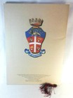 Bild 45 von 51