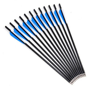 12Pcs-20-034-Crossbow-Bolts-Premium-Carbon-Arrows-Archery-Hunting-Arrows-OD8-8mm