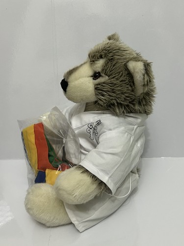 Rare Build the Bear Timber Bear Karate Suit Plush 15" Retired Collectible - Picture 5 of 13