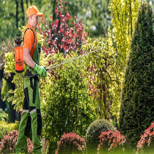 5L Pump Sprayer with Telescopic Lance for Efficient Gardening & Cleaning - Picture 9 of 11