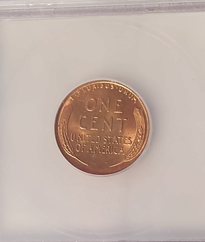 1955 P Lincoln Wheat Cent ICG MS 67 RD - Picture 4 of 4