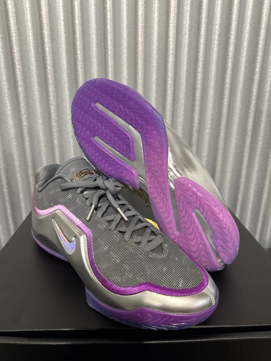 Las mejores ofertas en Nike Lebron 23 Bubble Boy | eBay