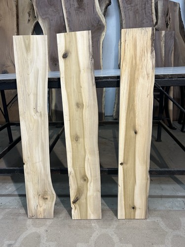 3 Stück Live Edge Spalted Pappel Regale/Ofengetrocknetes Regal Holz/Spalted Wood - Bild 20 von 23