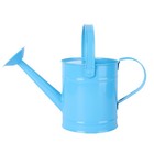  Plant Mister Mini Watering Can Childs Metal Kettle Bucket for Kids