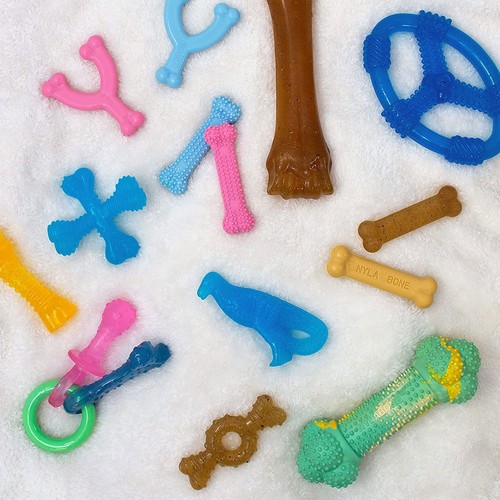 Nylabone Ring Knochen Kauspielzeug für Welpen Welpen Beißspielzeug Huhn Geschmack mittel - Bild 4 von 5