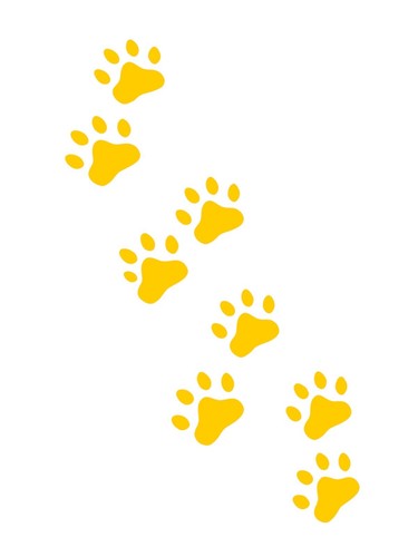 CALCOMANÍA DE VINILO IMPRESIONES DE PATAS DE GATO PARA CAMIÓN SUV parachoques pared computadora portátil decoración del hogar pequeña - Imagen 5 de 8