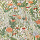 Bild 9 von 9