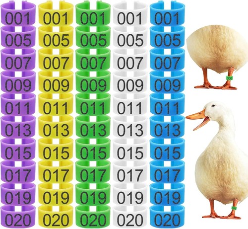 100 Durable Chicken Leg Bands - 20mm in 5 Colors for Easy Poultry Identification - Picture 3 of 10
